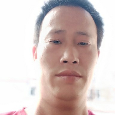 清山绿叶的照片