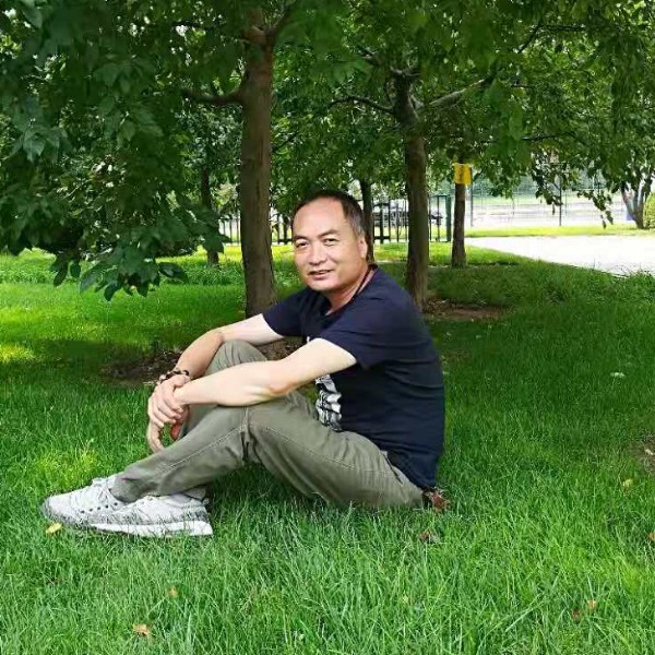 斯文给太阳的照片