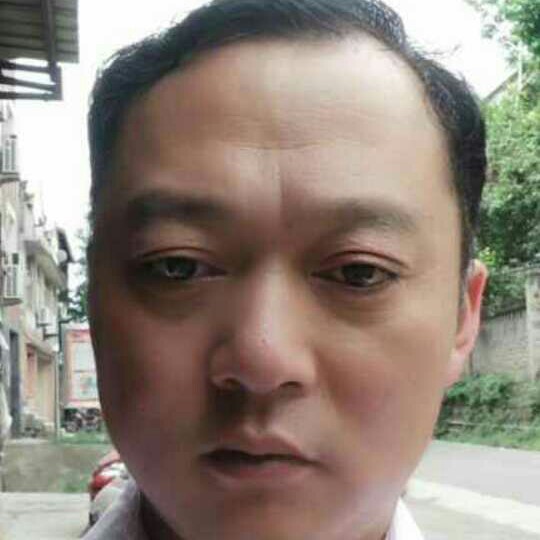 落后白猫的照片