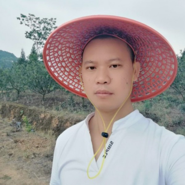 待你回家的照片