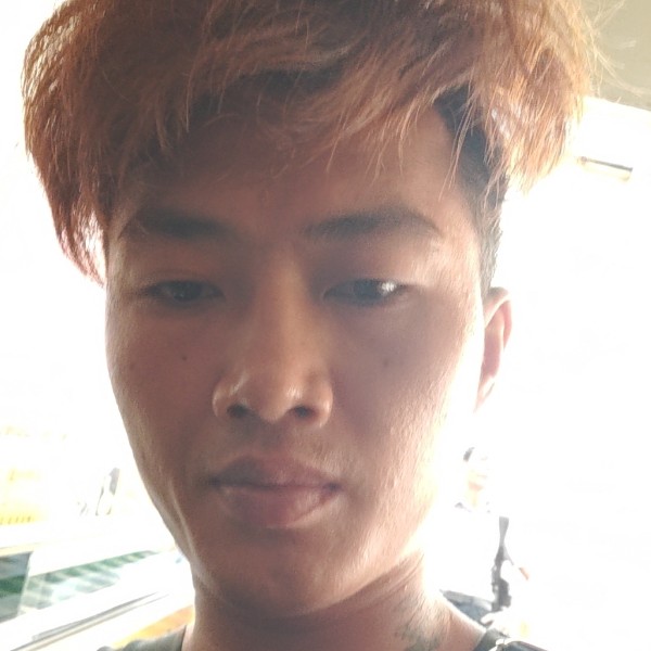 酸奶的朴实的照片