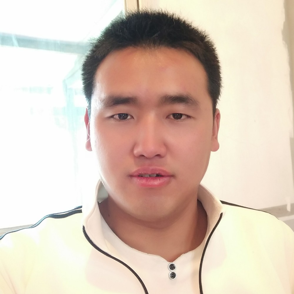 阿里郎2的照片