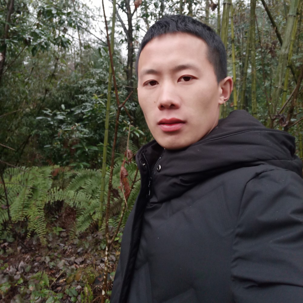 爱暖倾城的照片