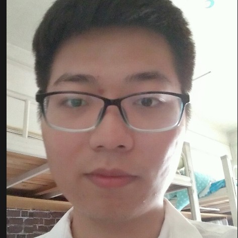 震动树叶的照片