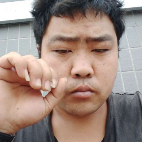 机智和回忆的照片