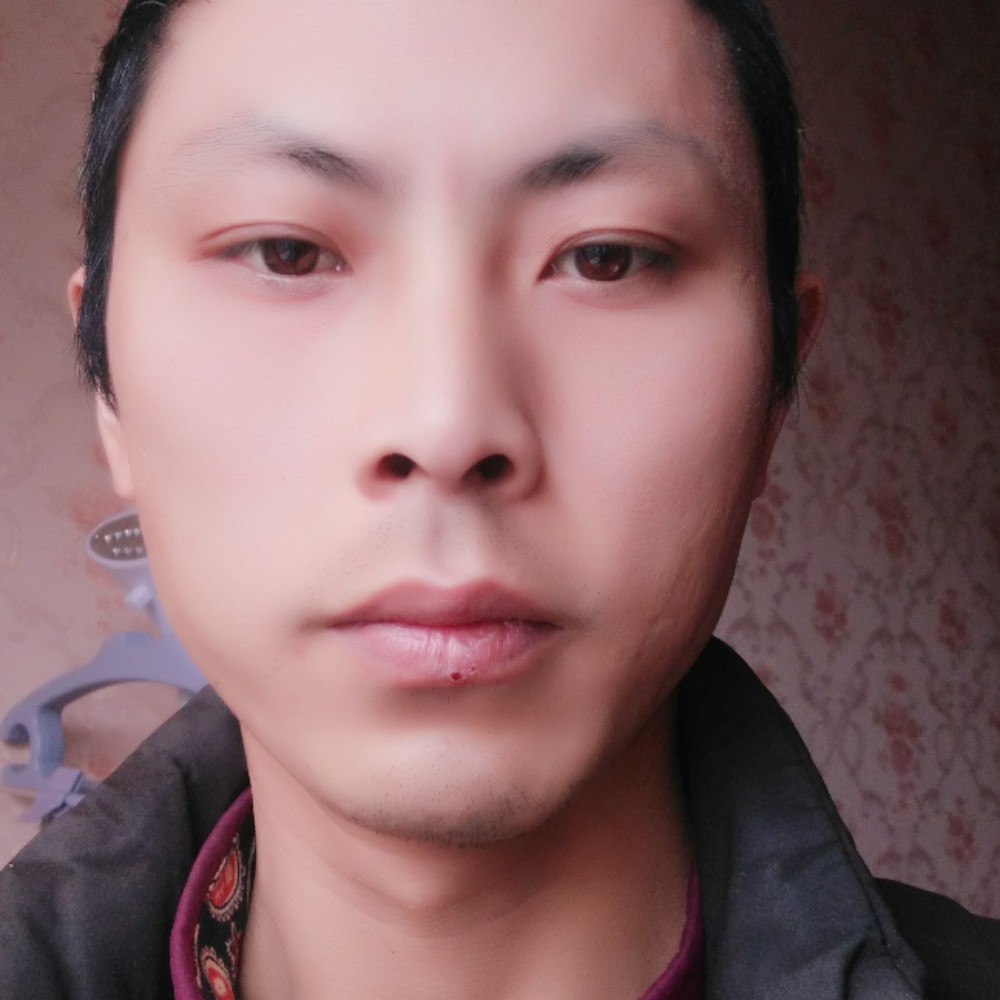 樱桃改变鲤鱼的照片