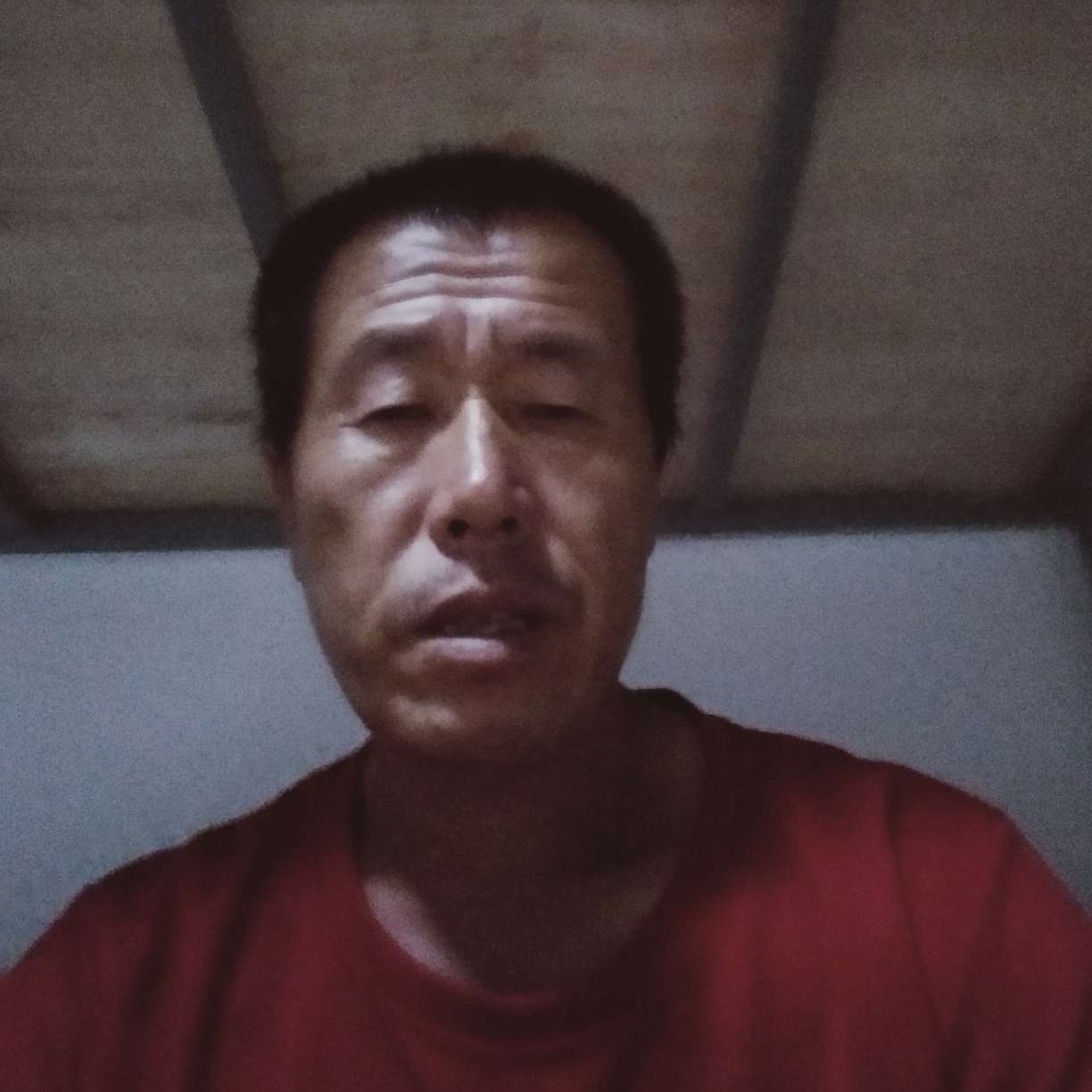 红玫瑰蹁跹文静的照片