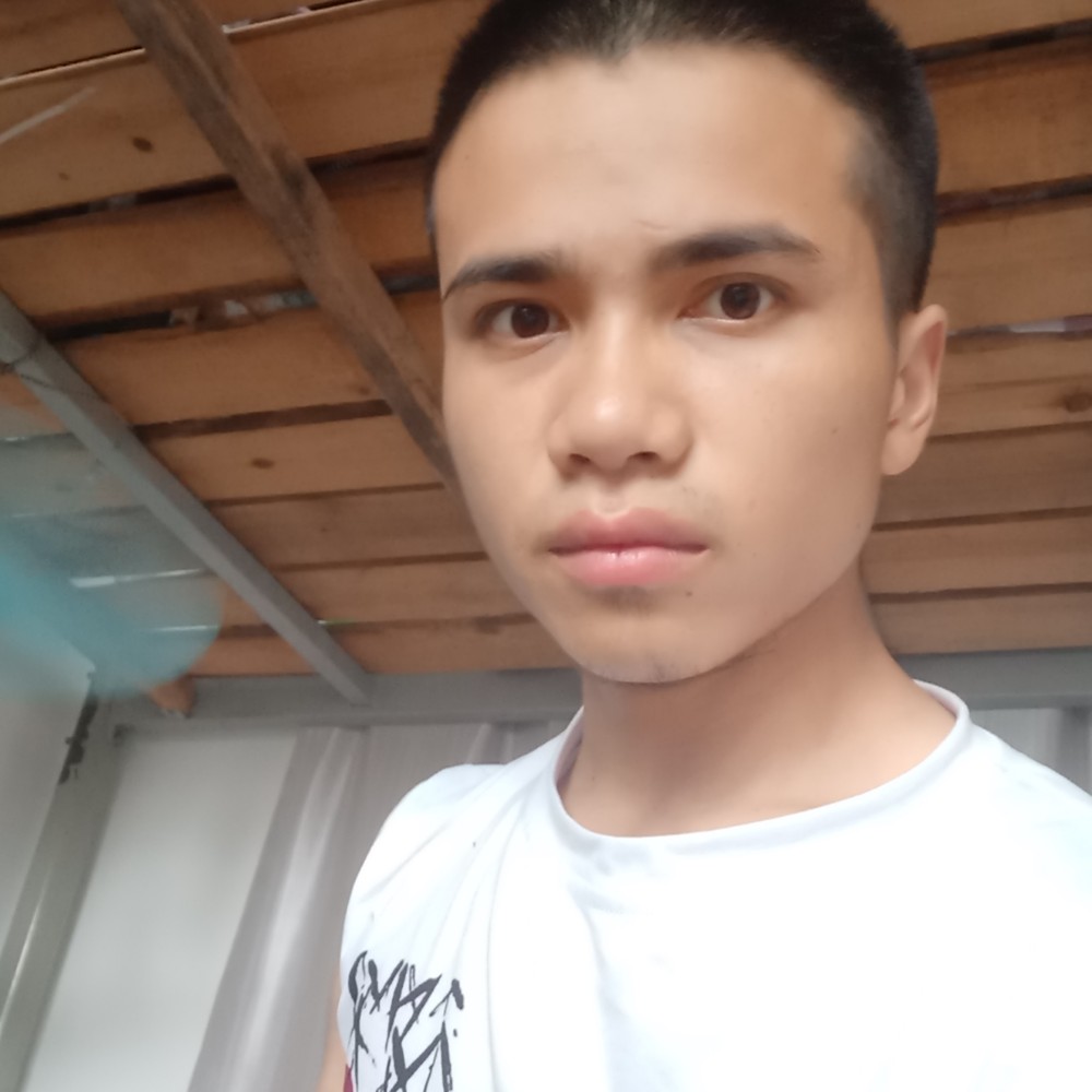 透彻蹁跹乌龟的照片