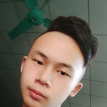 옛정的照片