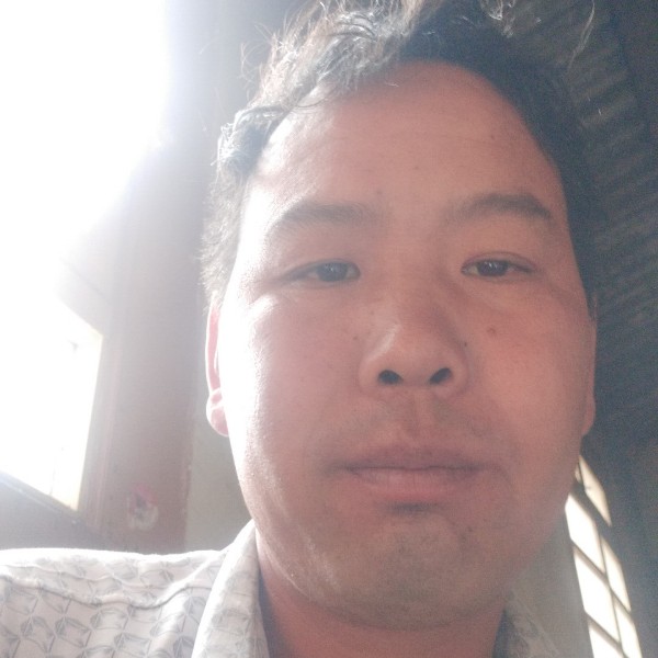 无情星愿的照片