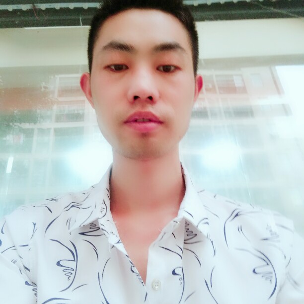 飘零风中的落叶的照片