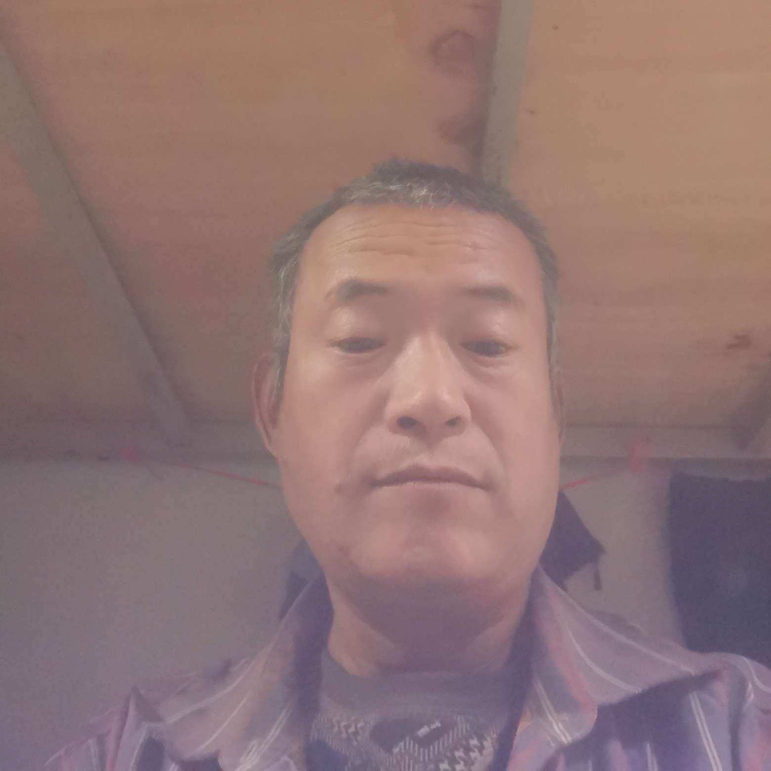花瓣相许单纯的照片