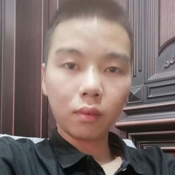 贝壳的照片