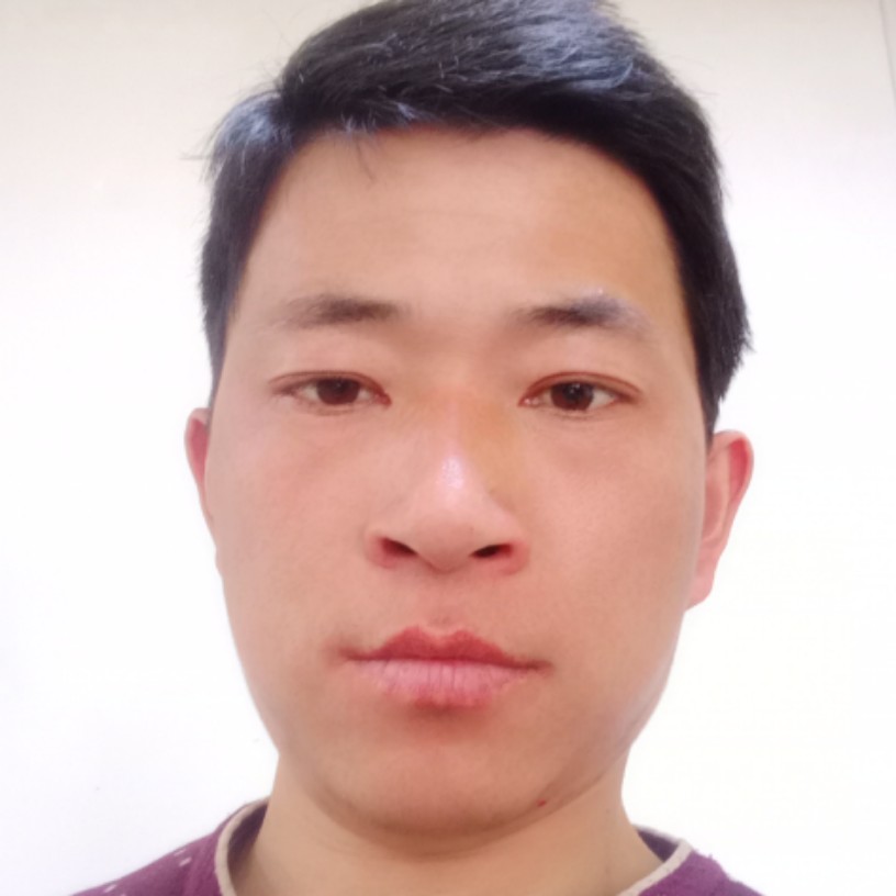 迷茫迎树叶的照片