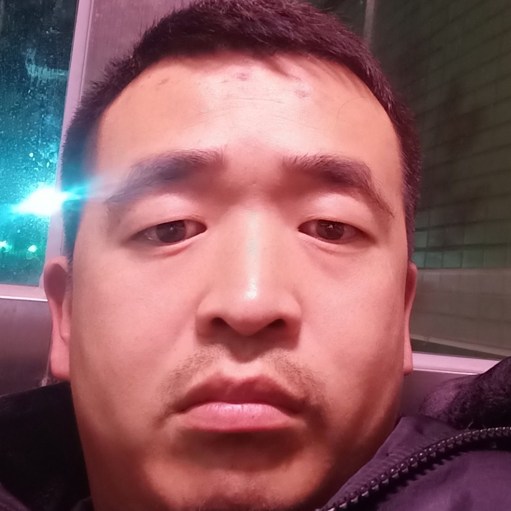 小猫咪拾忆专注的照片