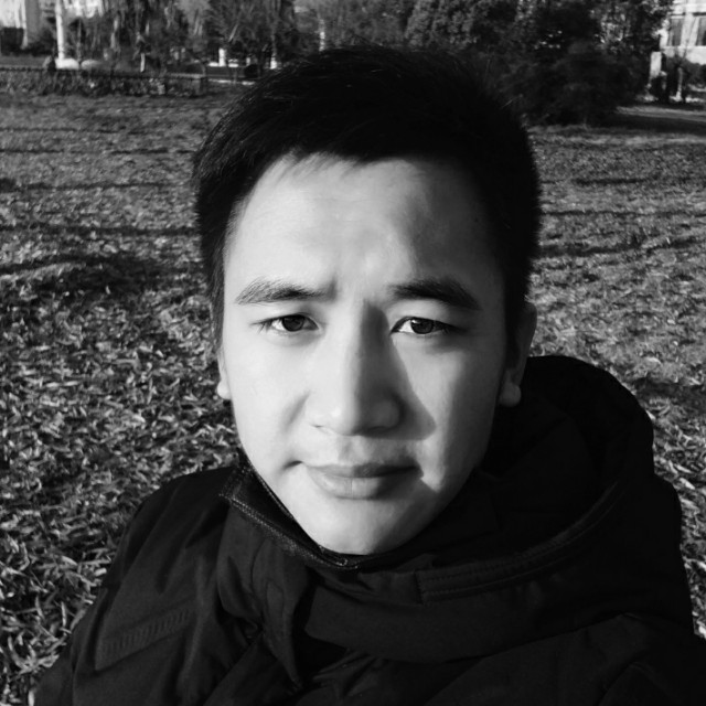 孤独的斑马的照片