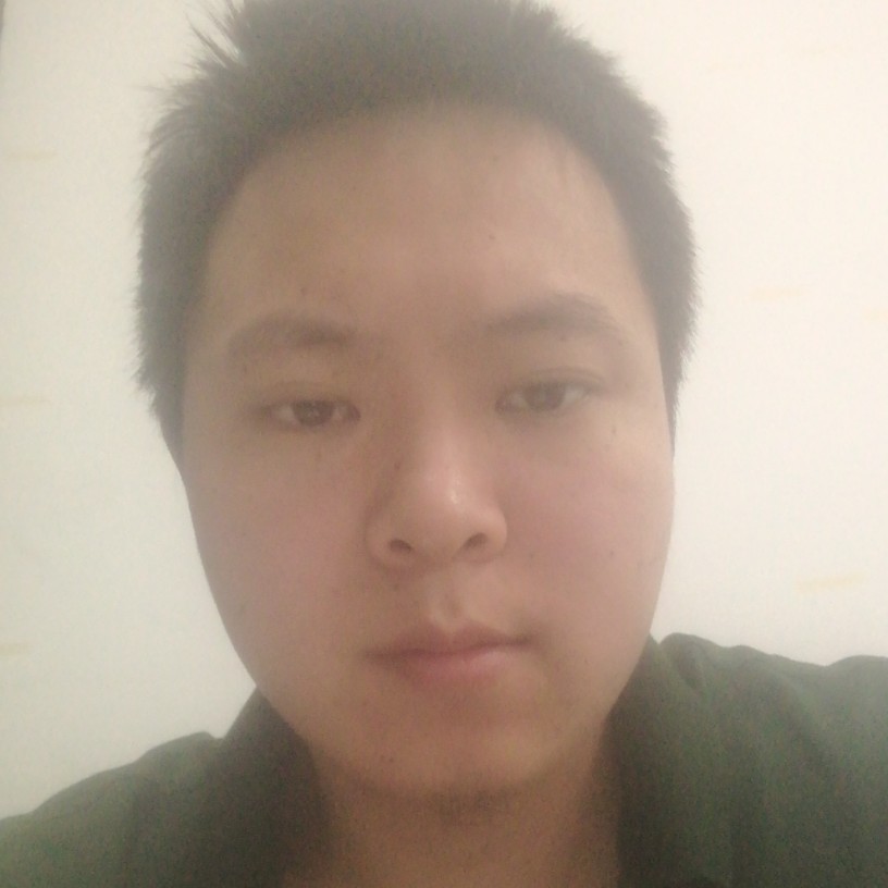砖头1的照片