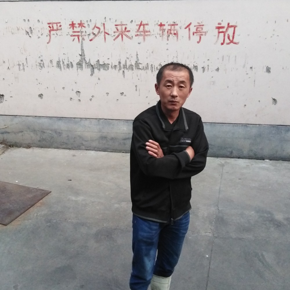 老鼠懦弱的照片