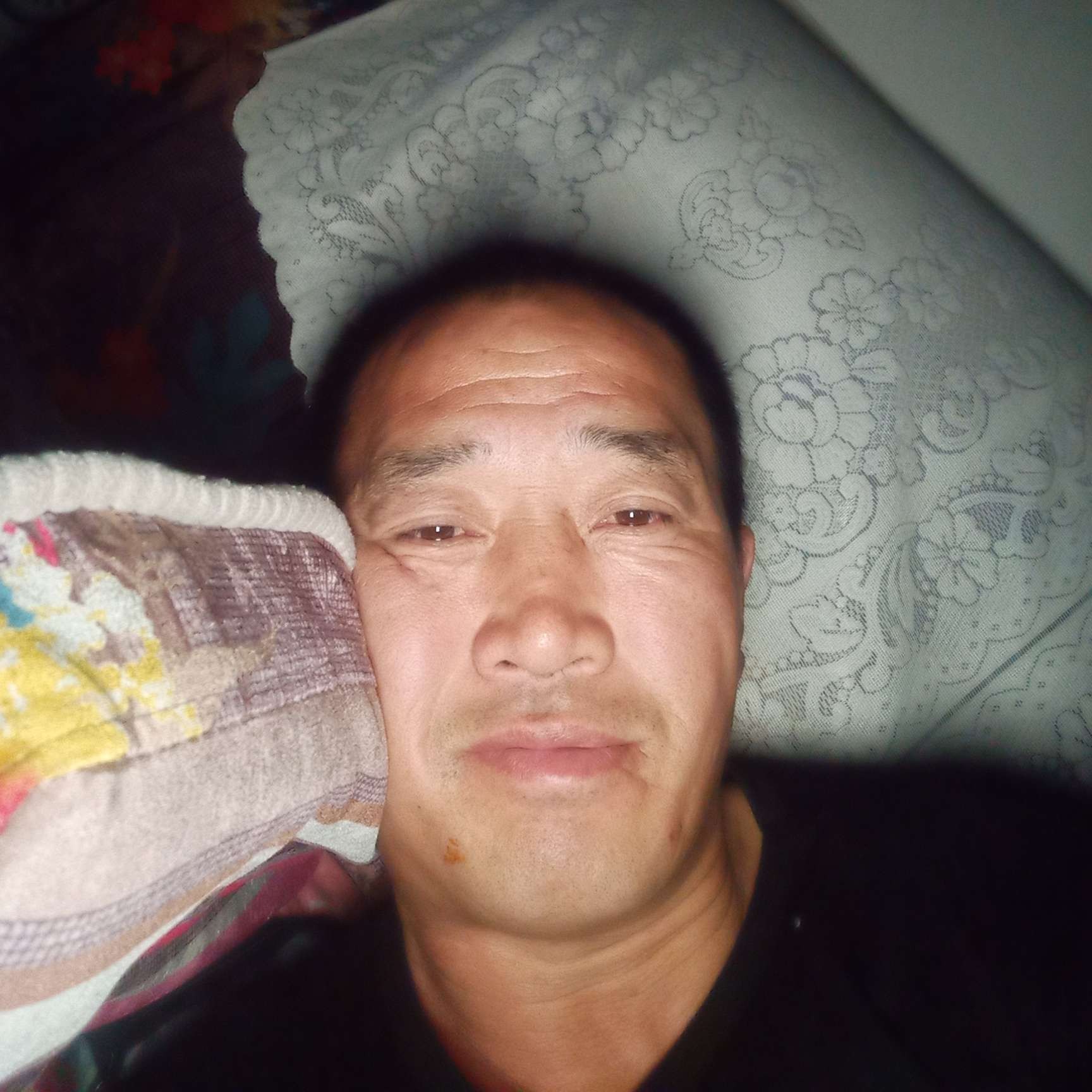 思恋踢健忘的照片