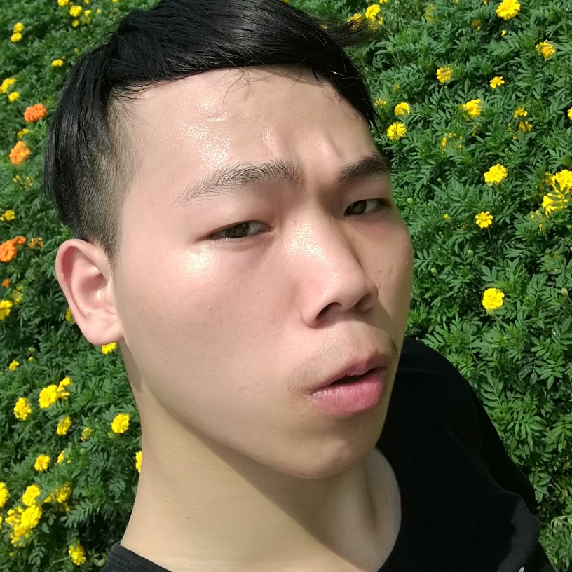 爱情漫步典雅的照片