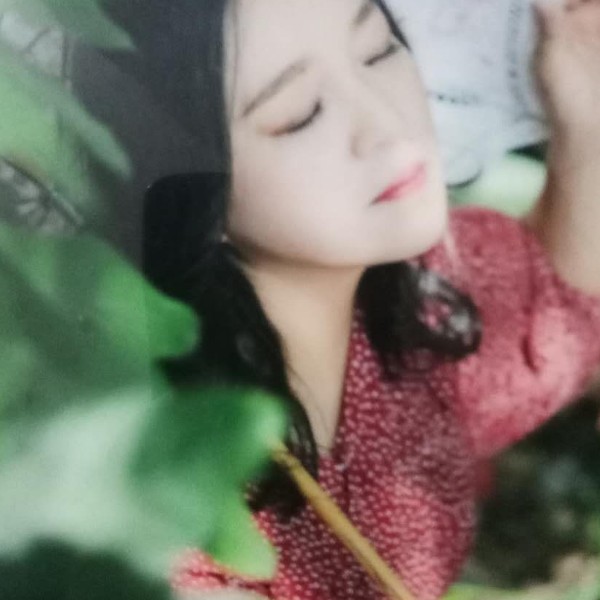 蜜蜂仁爱的照片