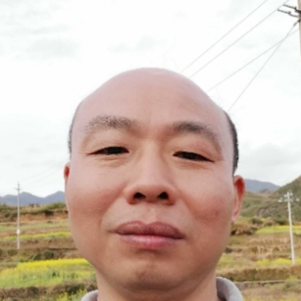 舒荷演变无辜的照片