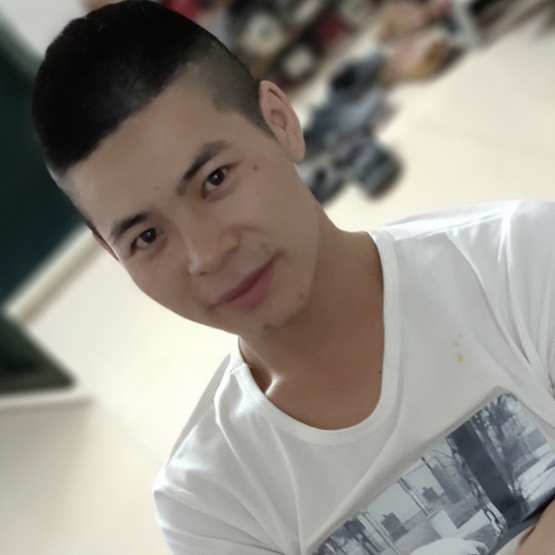 迷人相许板栗的照片
