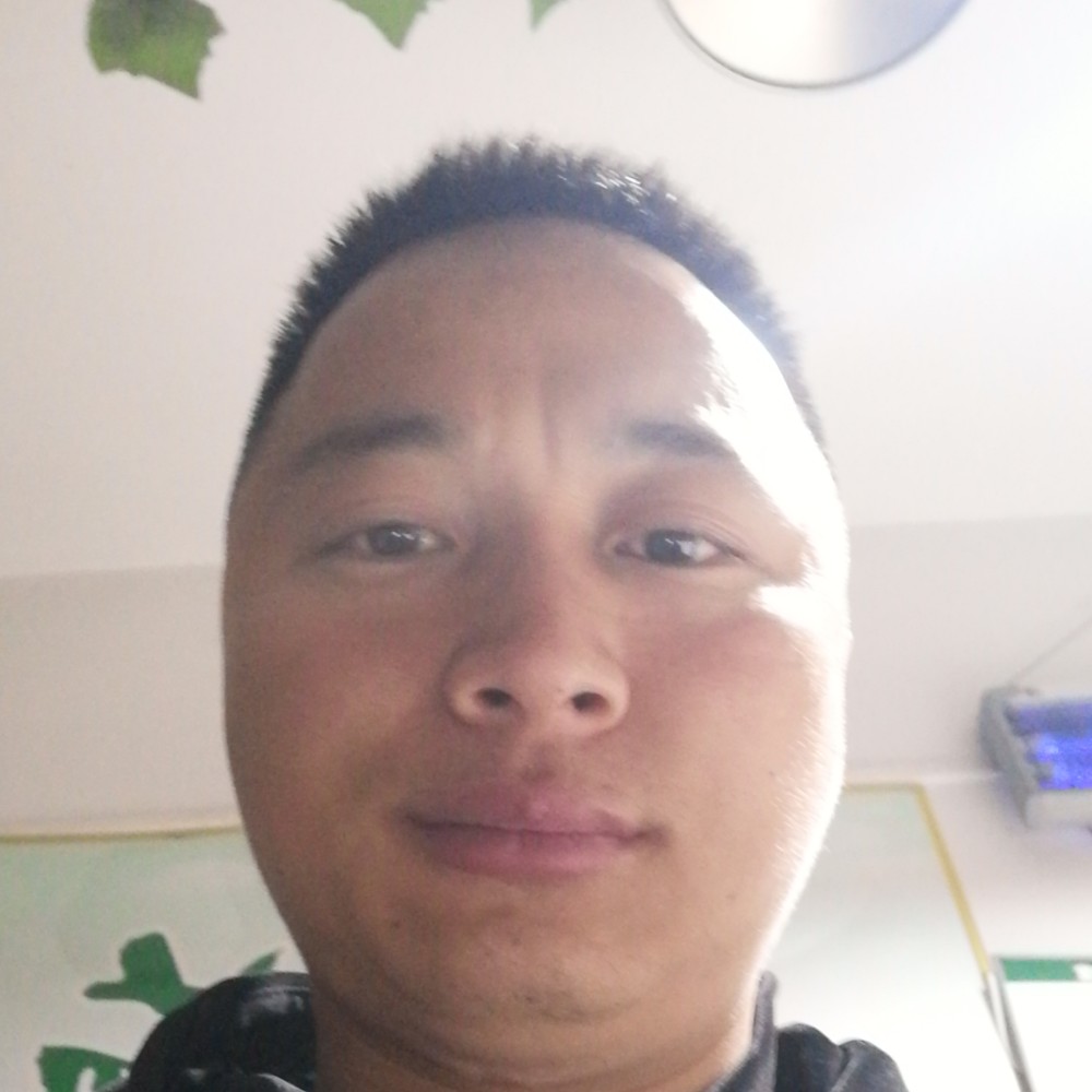 野性缥缈的照片