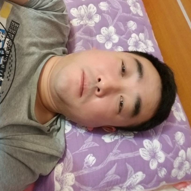 飞翔的鸽子666的照片