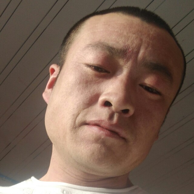 贺中辉的照片