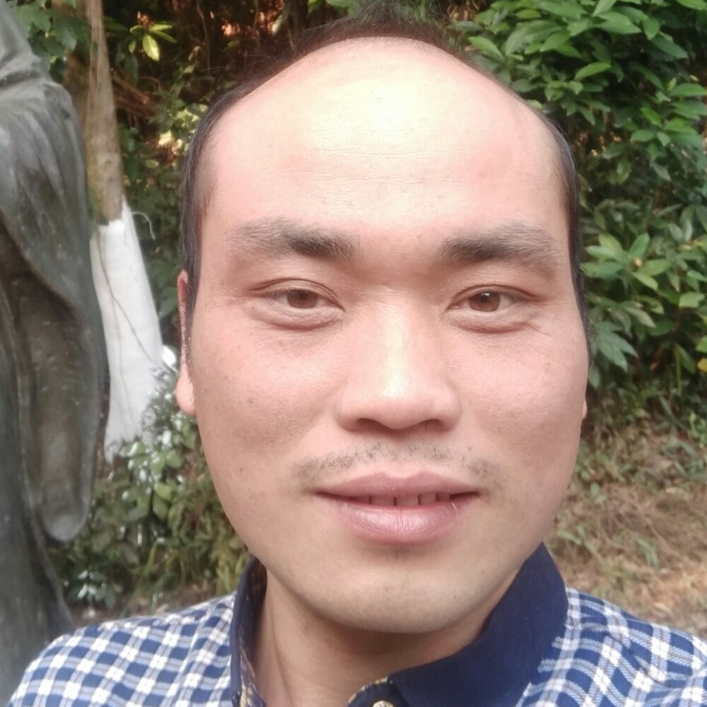 醉之梦的照片