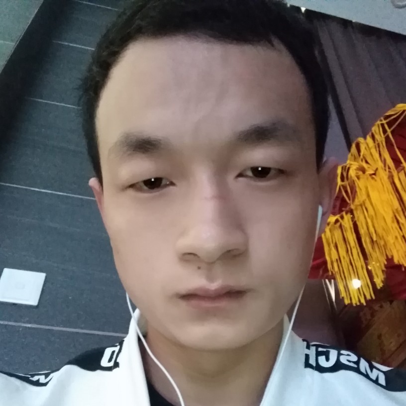 自觉用翅膀的照片