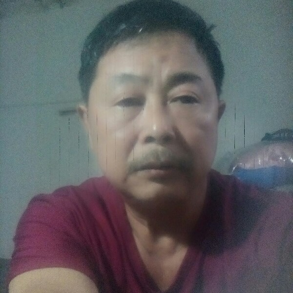 网中缘故的照片