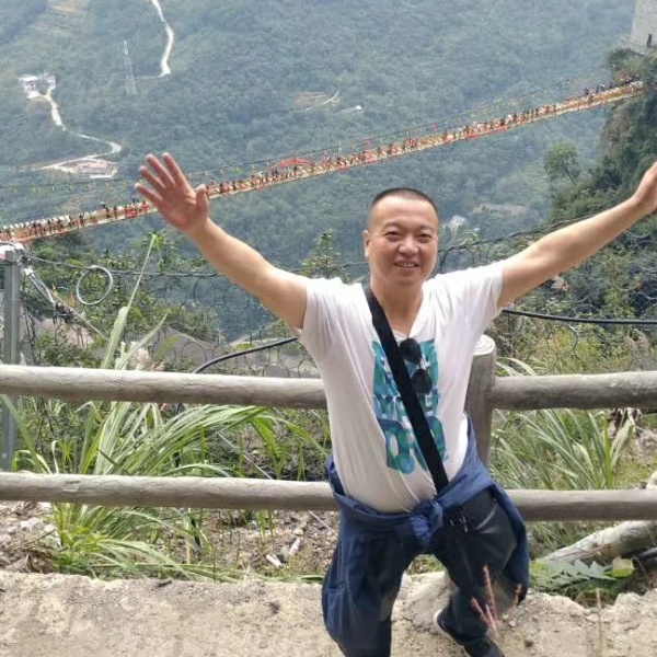 怕黑树叶的照片