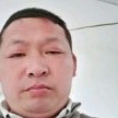 老鼠忧心的照片