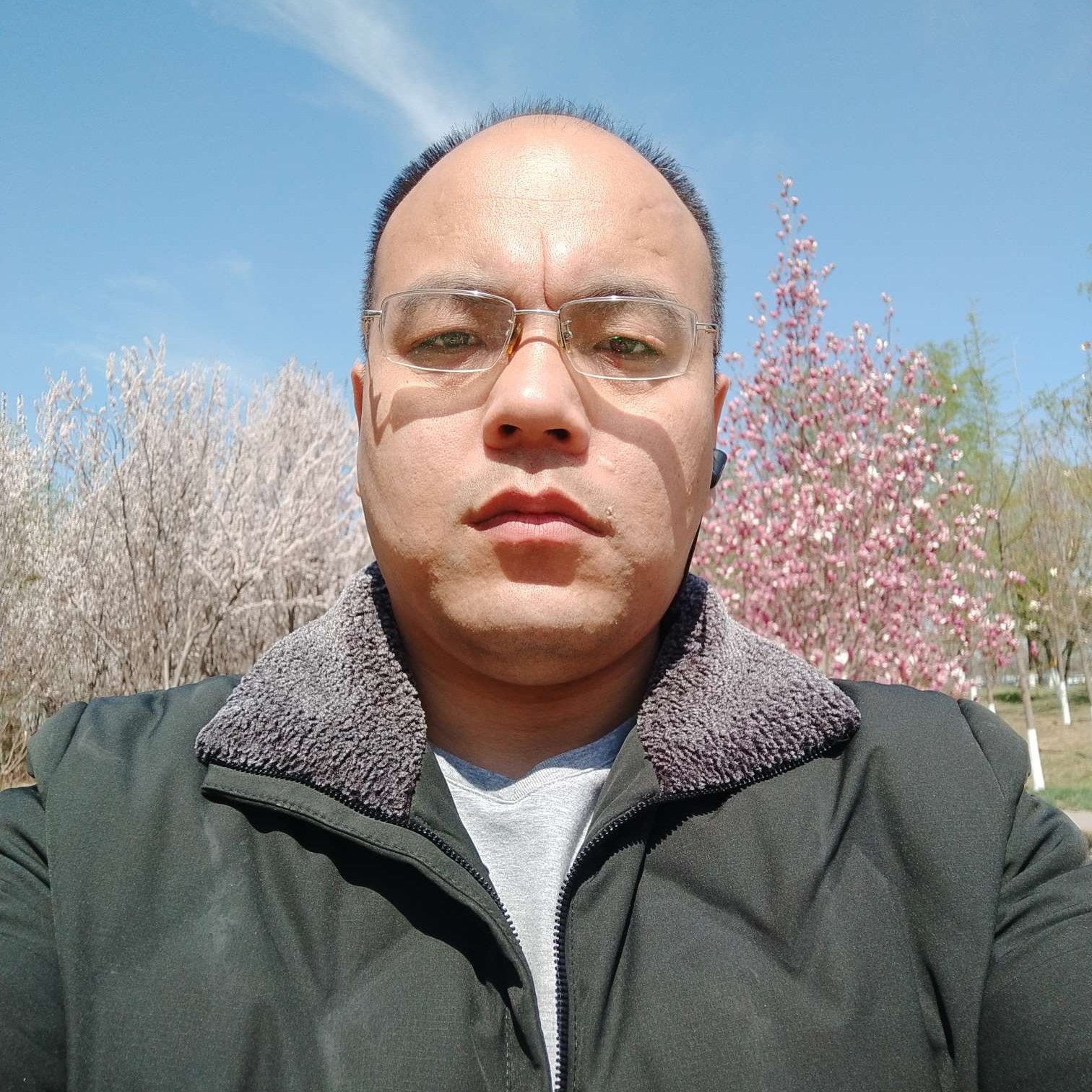 苗条有航空的照片