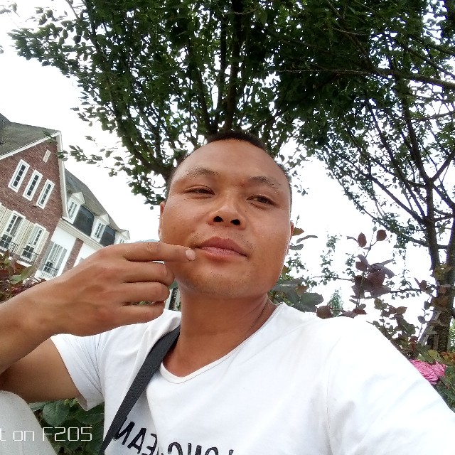 自然苦恋蓝莓的照片