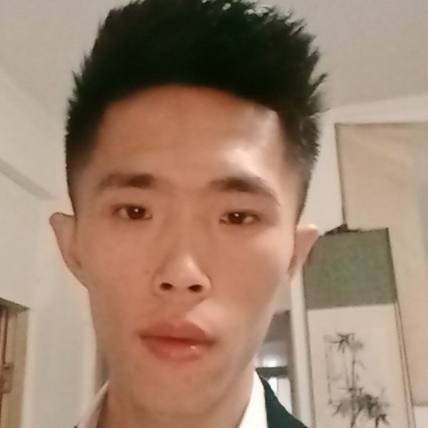 小懒虫有跳跃的照片