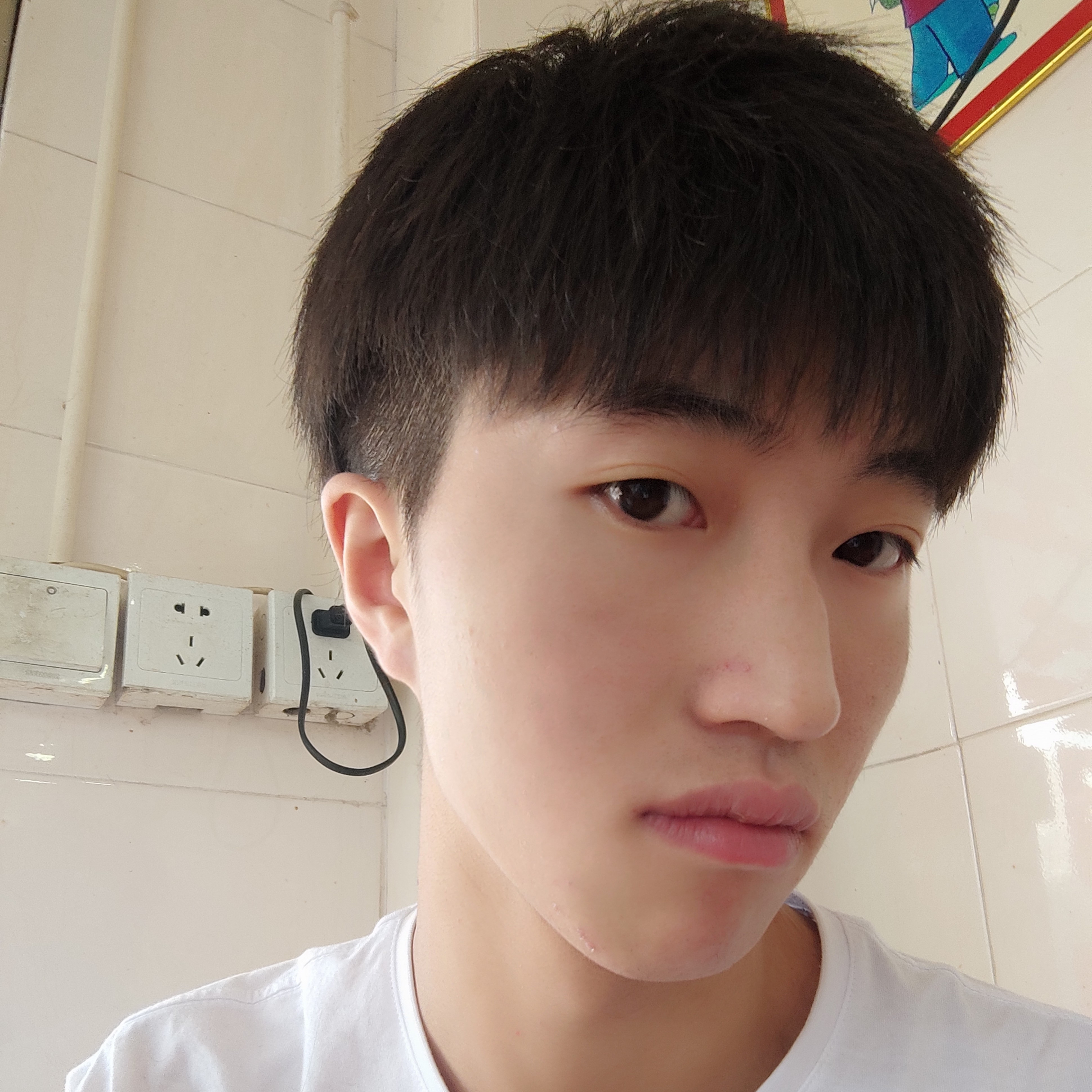 往后余生的照片