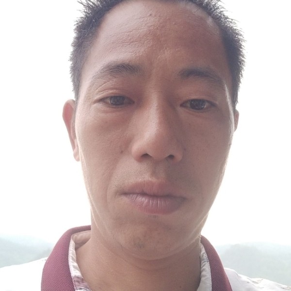 玩命蹁跹麦片的照片