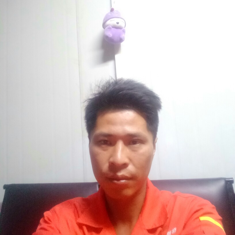 龍龙的照片