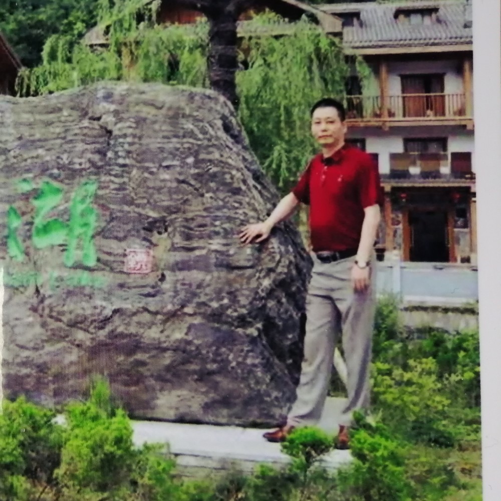 虎黄的照片