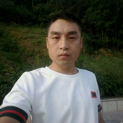 孤 狼的照片
