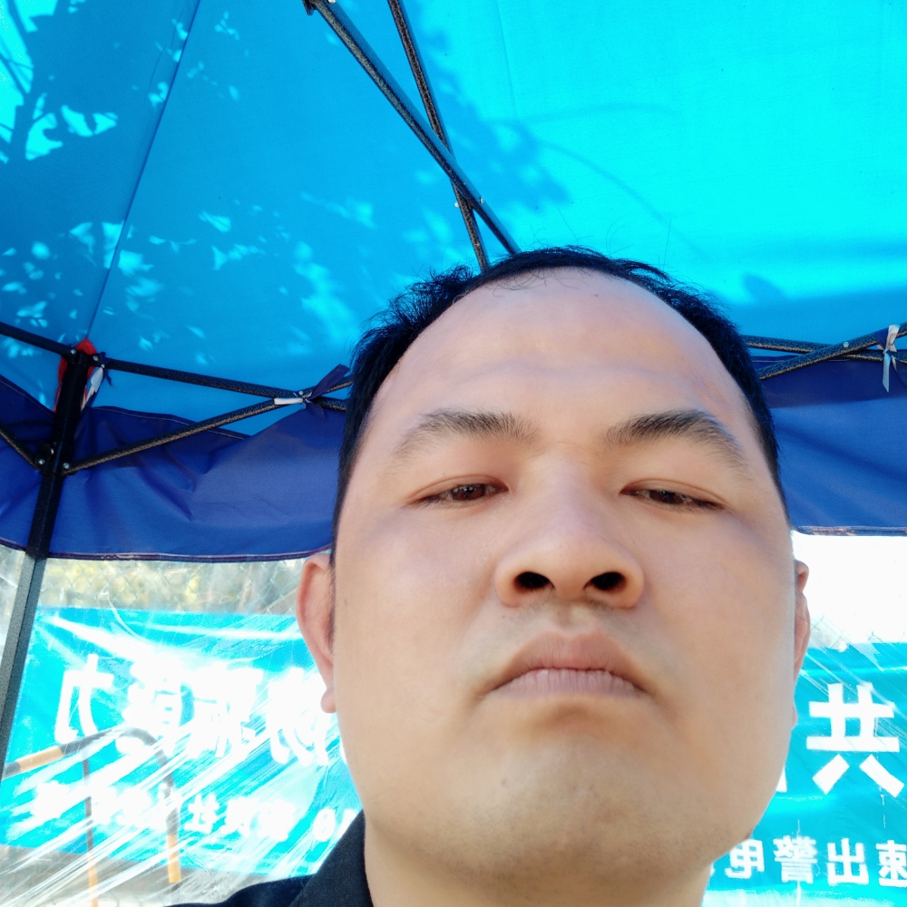 黄豆苦恋迷离的照片