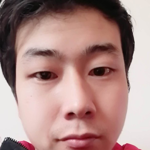 聪明苦恋小熊猫的照片