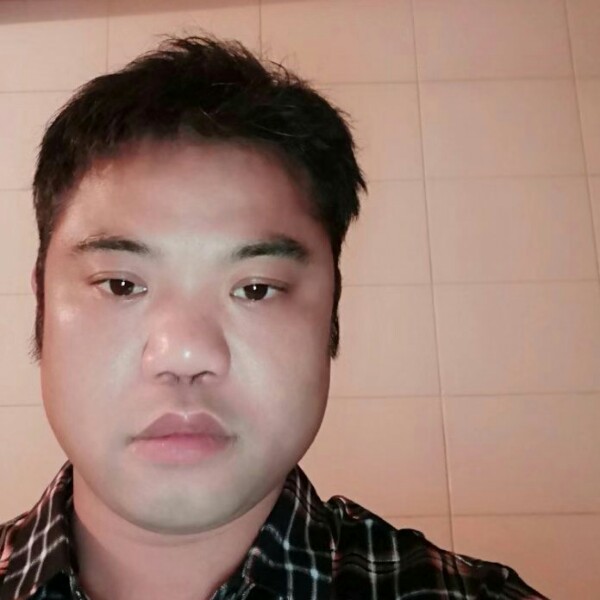 有责任的钢笔的照片
