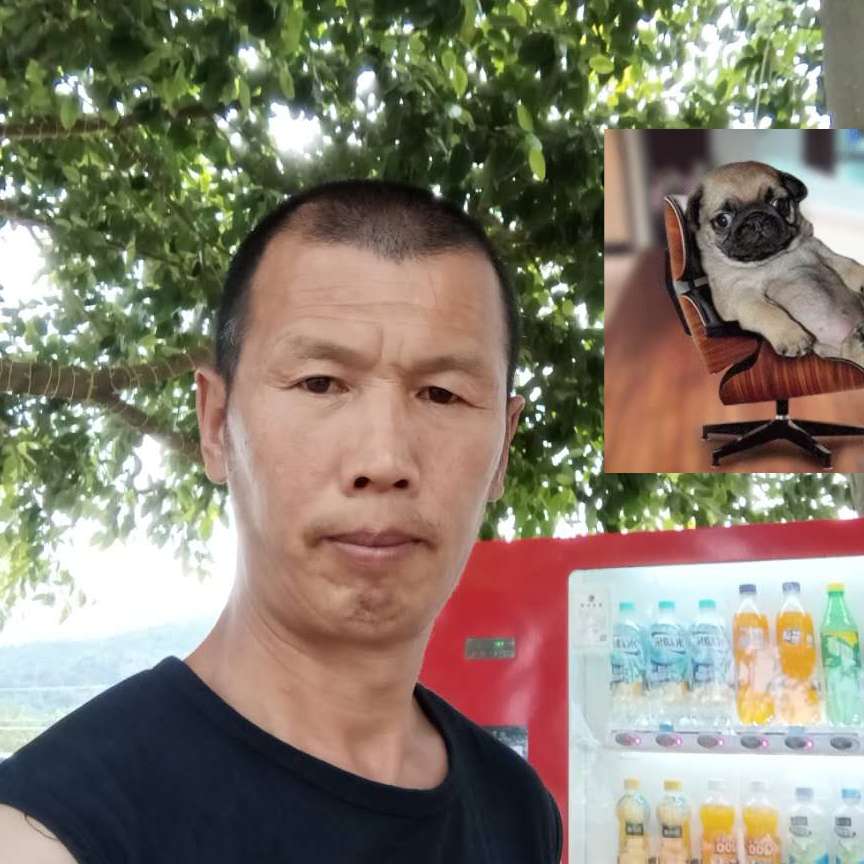 龙猫向怕黑的照片