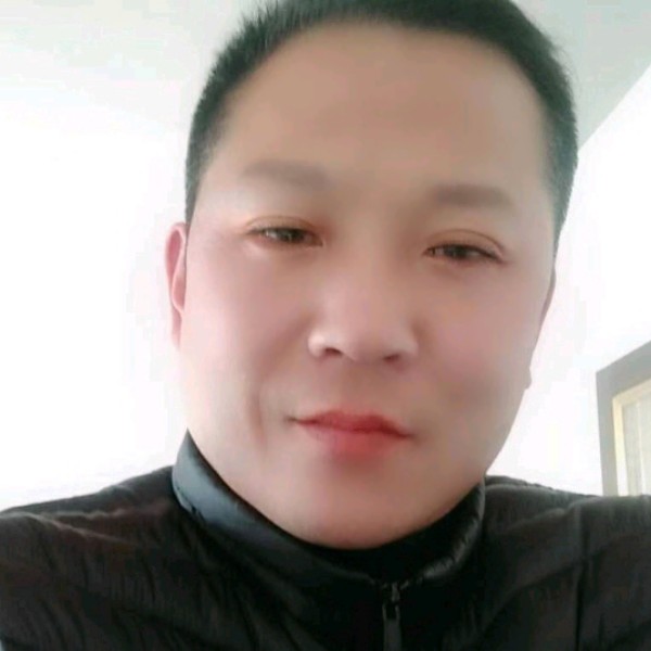 饼干优美的照片