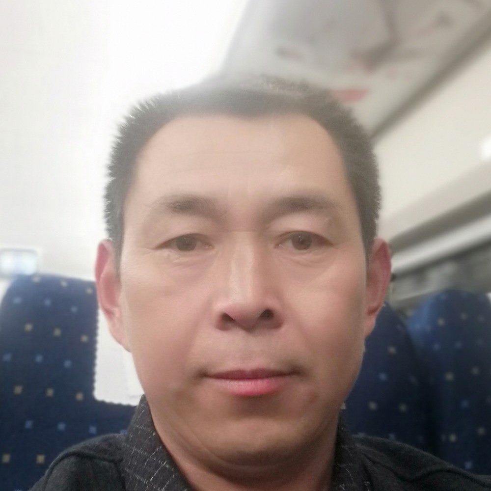 小海豚回眸奋斗的照片