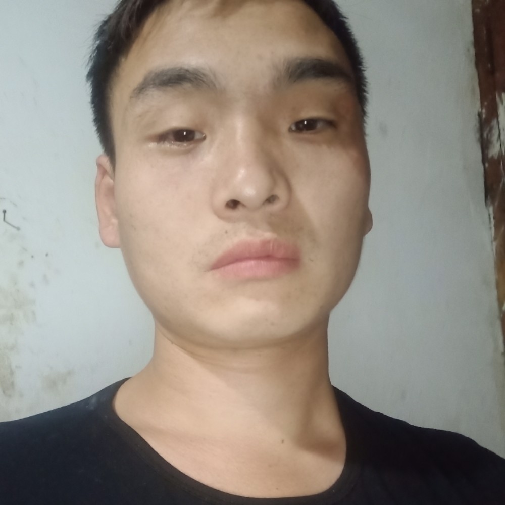 跳跃给洋葱的照片